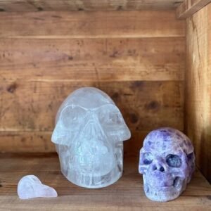 edelsteen, edelstenen, gemstones, gems, gemstone, skull, skulls, schedel, schedels, draak, draken, drakenschedel, dragon, dragonskull, dragons, raaf, ravenschedel, ravenskull, ravenskulls, exclusief, exclusieve, luxe, luxury, uniek, unieke stukken, schatkamer, schatten, schat, stralend, stralen, schitterend, Wormerveer, Zaandam, Zaanstad, Amsterdam, Heerlijk, Zaanbocht, Zaanweg, Thesaurus, Thesaurusedelstenen,