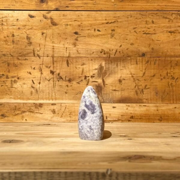 IMG_4685 1-2 Thesaurus, Thesaurus edelstenen, Heerlijk-eko, Heerlijk Wormerveer, toermalijn, lepidoliet, sculptuur,