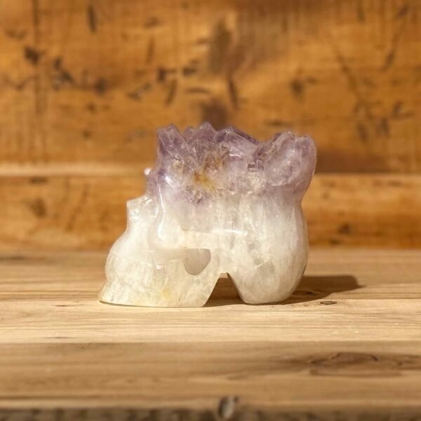 IMG_4748-2 Thesaurus, Thesaurus edelstenen, Heerlijk-eko, Heerlijk Wormerveer, amethist, azeztuliet, schedel, amezez, skull, spiritueel, spirituele, punk, punky