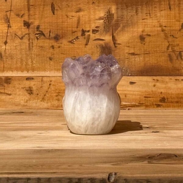 IMG_4749-2 Thesaurus, Thesaurus edelstenen, Heerlijk-eko, Heerlijk Wormerveer, amethist, azeztuliet, schedel, amezez, skull, spiritueel, spirituele, punk, punky