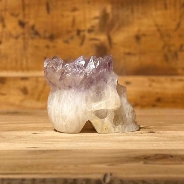 IMG_4750-2 Thesaurus, Thesaurus edelstenen, Heerlijk-eko, Heerlijk Wormerveer, amethist, azeztuliet, schedel, amezez, skull, spiritueel, spirituele, punk, punky