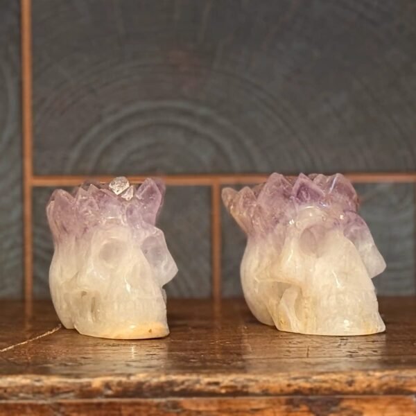 IMG_4990-2 Thesaurus, Thesaurus edelstenen, Heerlijk-eko, Heerlijk Wormerveer, amethist, azeztuliet, schedel, amezez, skull, spiritueel, spirituele, punk, punky