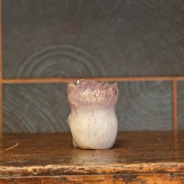 Thesaurus, Thesaurus edelstenen, Heerlijk-eko, Heerlijk Wormerveer, amethist, azeztuliet, schedel, amezez, skull, spiritueel, spirituele, punk, punky