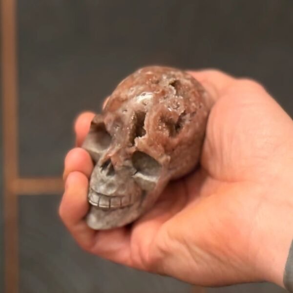 Thesaurus, Thesaurus edelstenen, Heerlijk-eko, Heerlijk Wormerveer, agaat, kristallen, kristal vorming, uitgekristalliseerd, skull, schedel, agaat schedel, uniek, unieke, exclusieve schedel, exclusieve, exclusief,