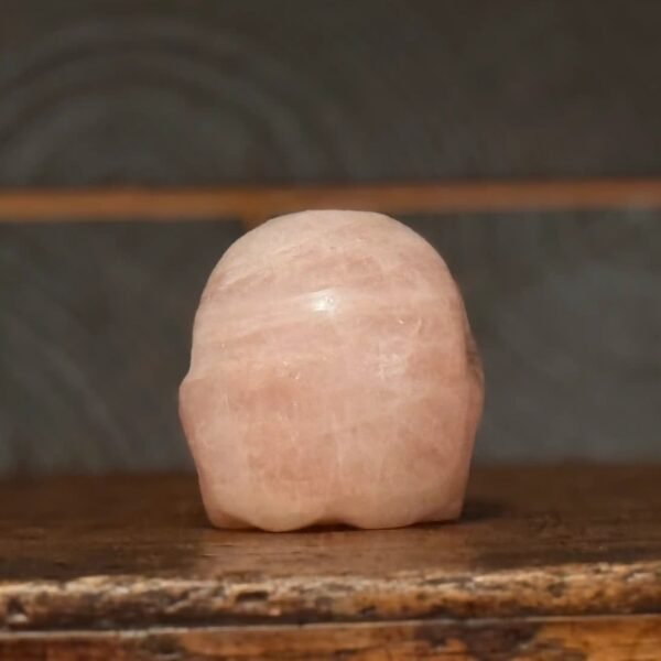 Thesaurus, Thesaurus edelstenen, Heerlijk-eko, Heerlijk Wormerveer, rozekwarts schedel, schedel, skull,