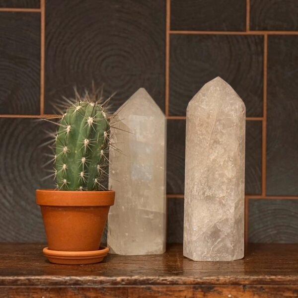 thesaurus, edelstenen, wormerveer, exclusief, unieke stukken, bergkristal, bergkristal punt, gepolijst, cactus