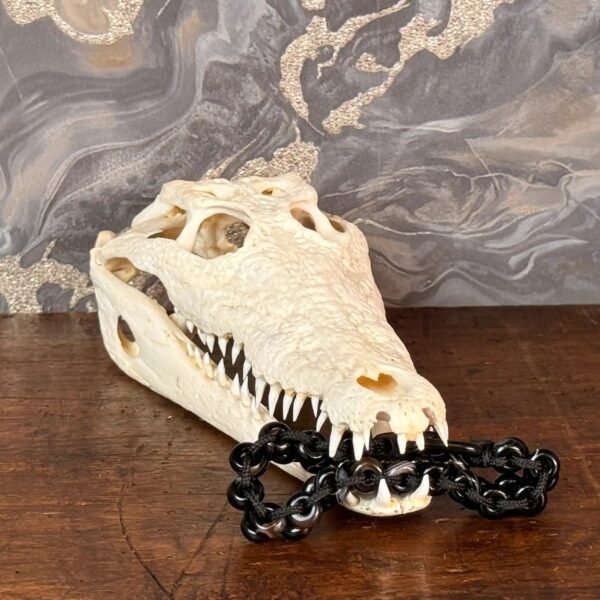 Thesaurus, Thesaurus edelstenen, edelstenen, Heerlijk Wormerveer, , armband, mannen armband, stoere armband, paracord, robuust, robuuste armband, persoonlijk, uniek, gepersonaliseerd, gepersonaliseerde armband, duurzaam, stevige armband, mat zwart, harpsluiting, zwarte agaat, agaat, krokodil, krokodillen