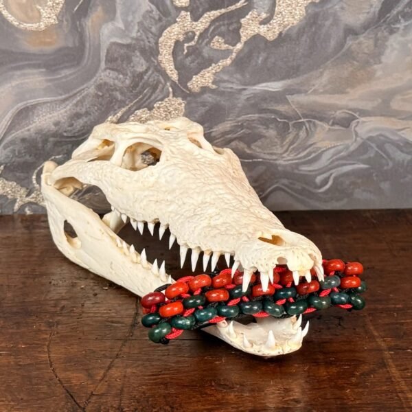 Thesaurus, Thesaurus edelstenen, edelstenen, Heerlijk Wormerveer, armband, mannen armband, stoere armband, paracord, robuust, robuuste armband, persoonlijk, uniek, gepersonaliseerd, gepersonaliseerde armband, duurzaam, stevige armband, zwarte agaat, agaat, mat zwart, harpsluiting, rode jaspis, mosagaat, agaat, groene agaat, krokodil,krokodillen